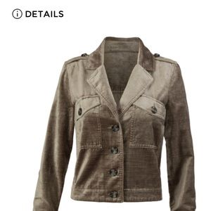 Cabi Sunday Topper- platinum velvet